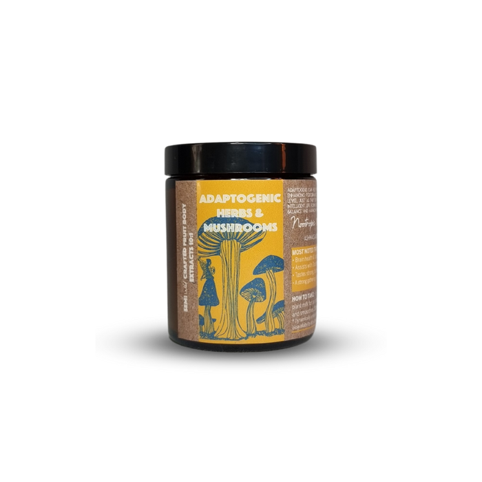 Nootropic Blend