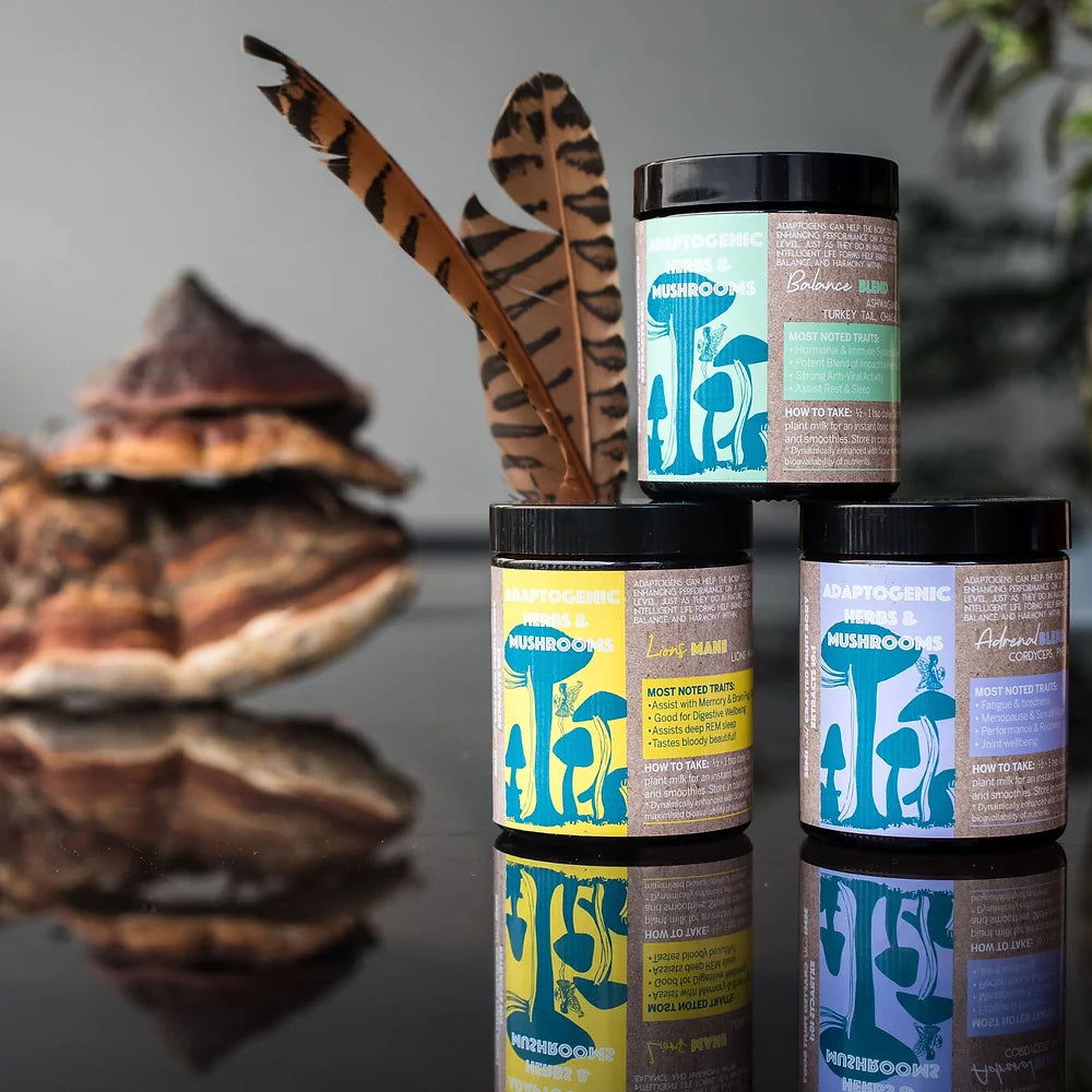 Adaptogenic mushroom supplements displayed with natural elements, featuring adaptogens for stress relief and daily wellness.