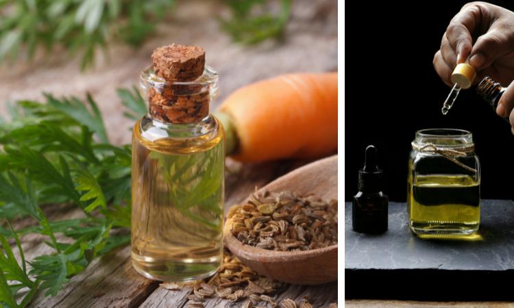 Carrot Seed Essential Oil