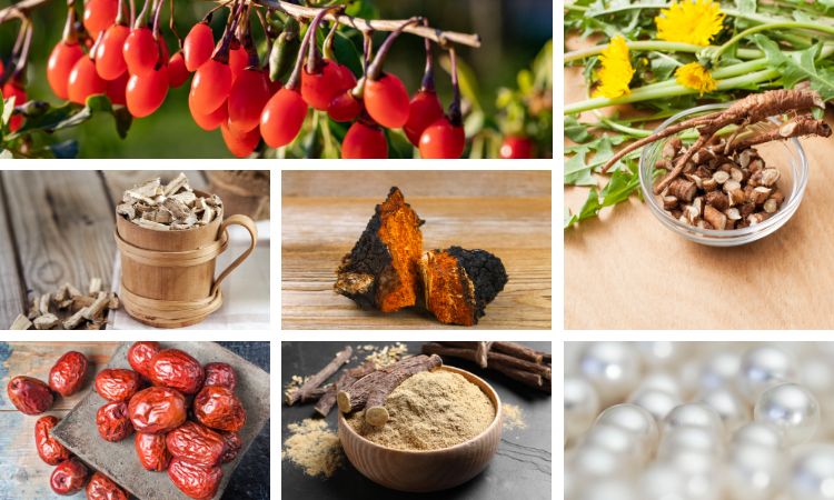 ingredients in  Fruits & Roots Blend