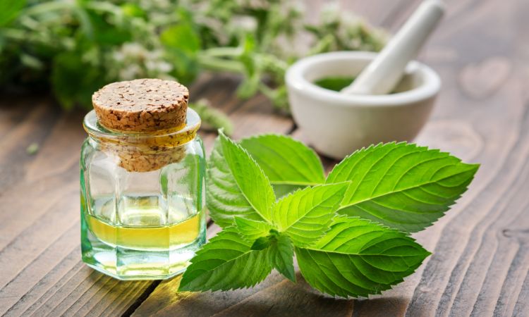 Peppermint Essential Oil