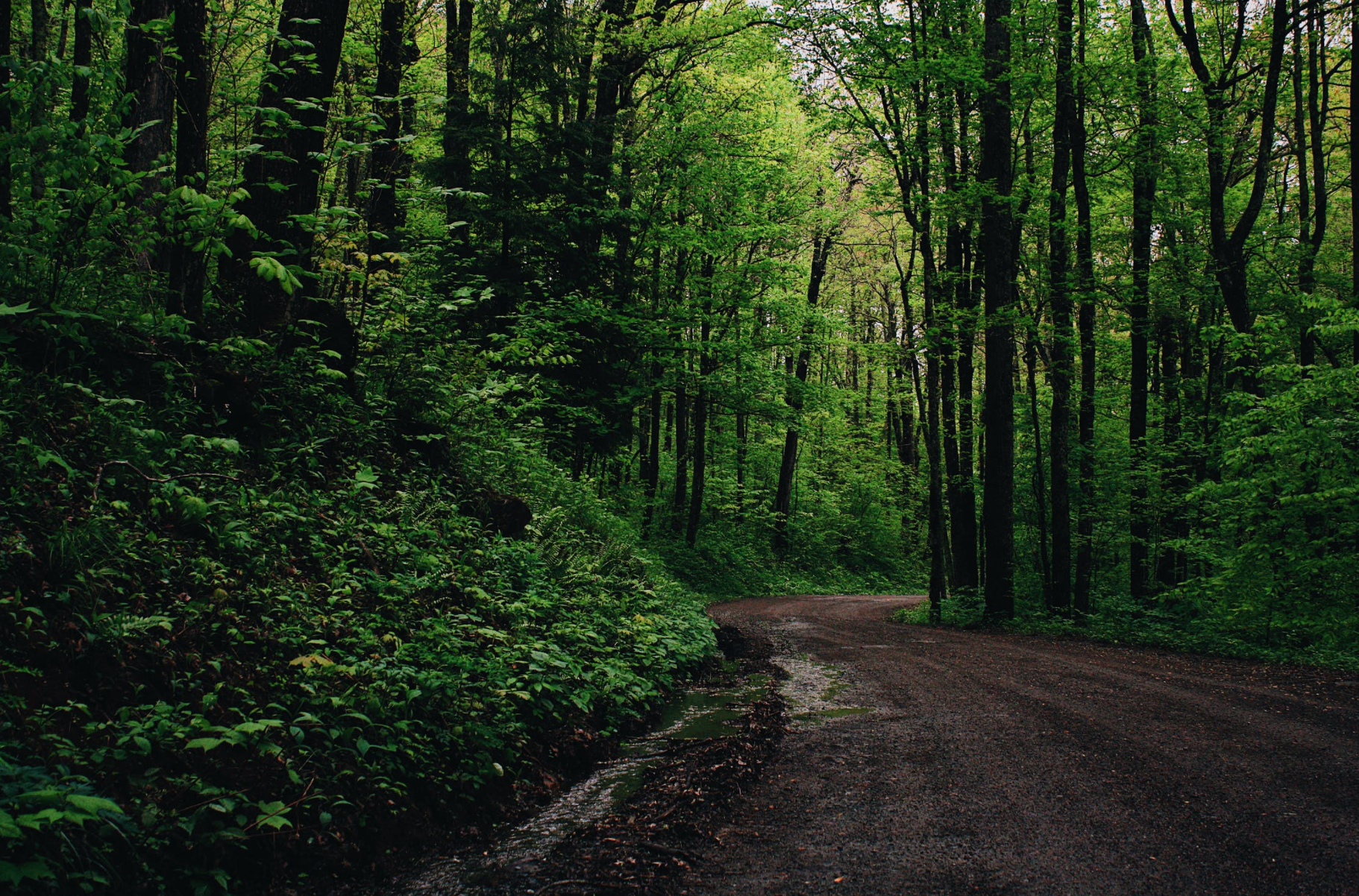 Your Roadmap to Awareness