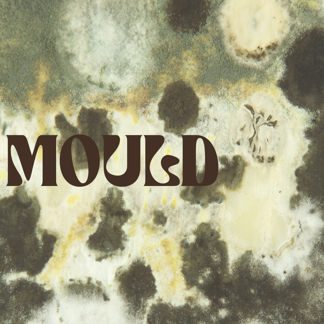 Holistic Healing Journey