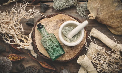 What Is an Apothecary? A Beginner's Guide