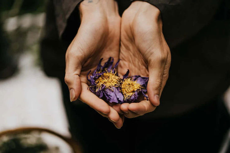 Blue Lotus Ritual Tonic | Enki Apothecary - ATGHealth