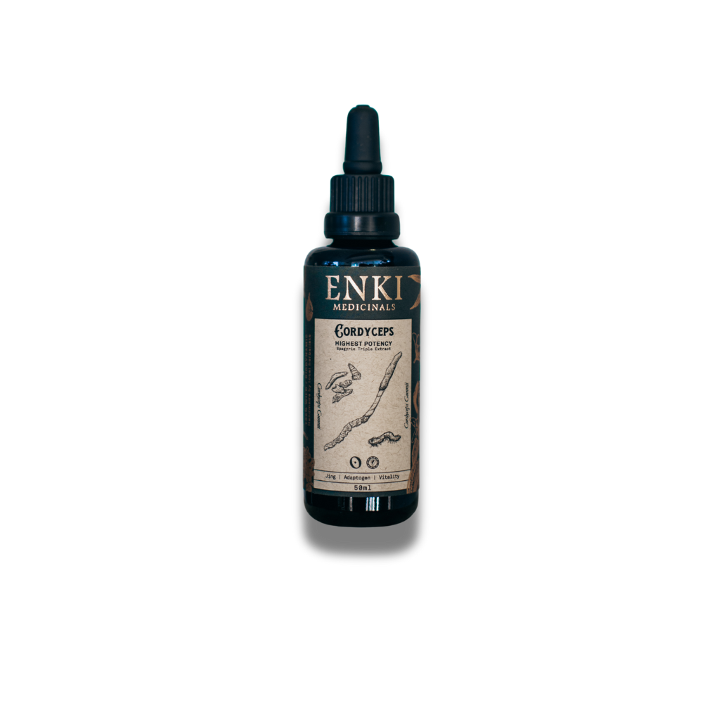 Cordyceps | Enki Apothecary - ATGHealth