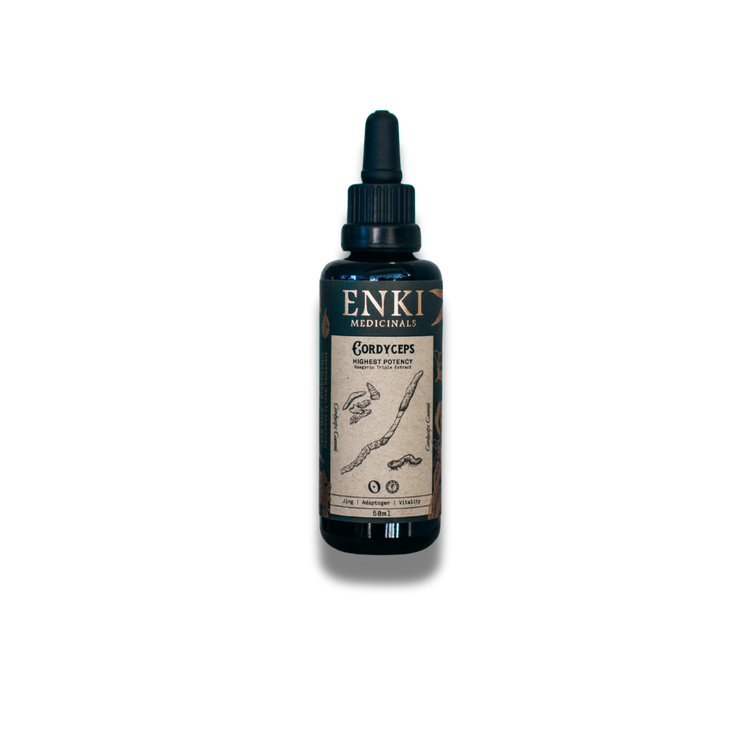 Cordyceps | Enki Apothecary - ATGHealth