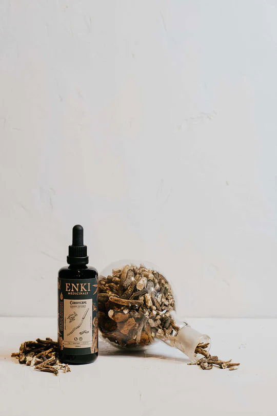 Cordyceps | Enki Apothecary - ATGHealth